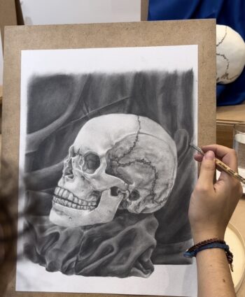 observational still life drawing course, may art studio, Vienna