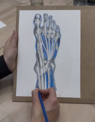 portfolio preparation, may art studio, Vienna