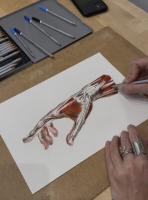 portfolio preparation, may art studio, Vienna